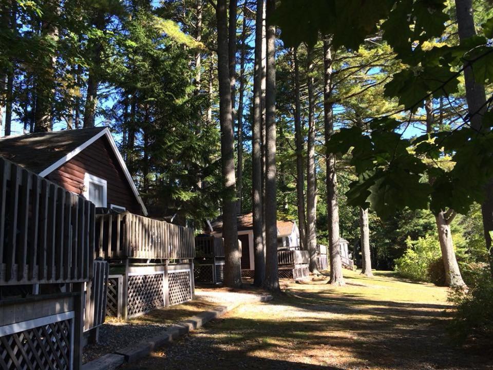 Pine Grove Cottages Lincolnville Buitenkant foto