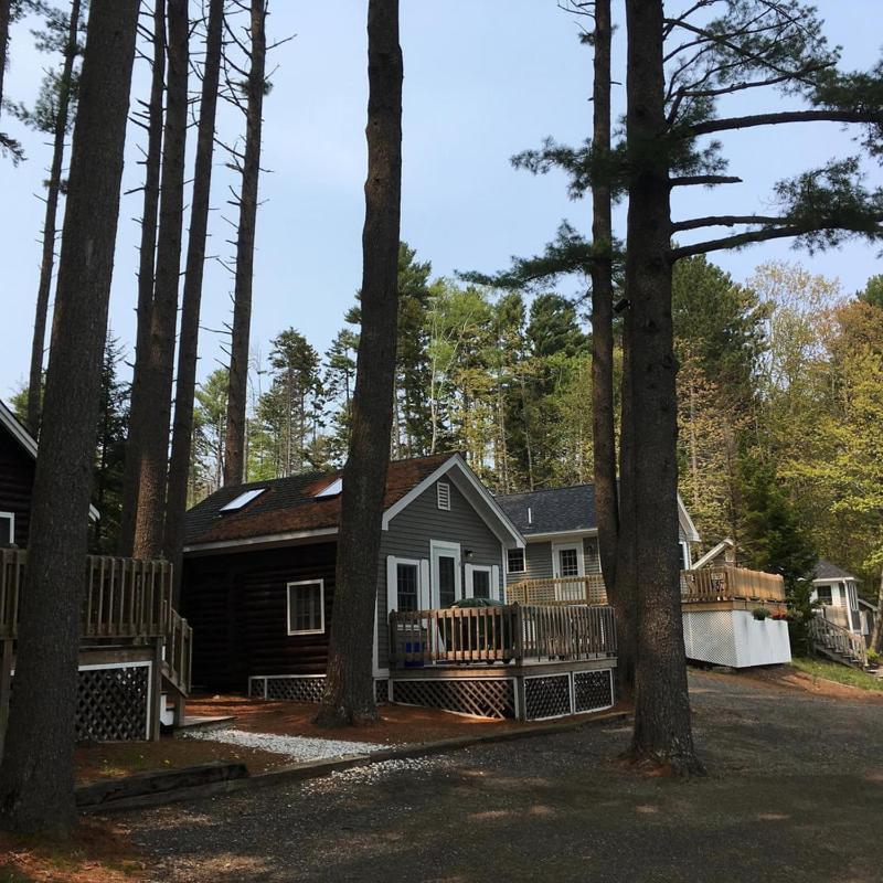 Pine Grove Cottages Lincolnville Buitenkant foto