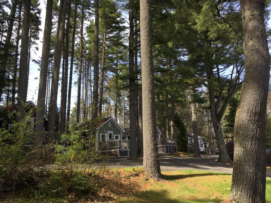 Pine Grove Cottages Lincolnville Buitenkant foto